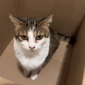 Meet your Posher, Alana